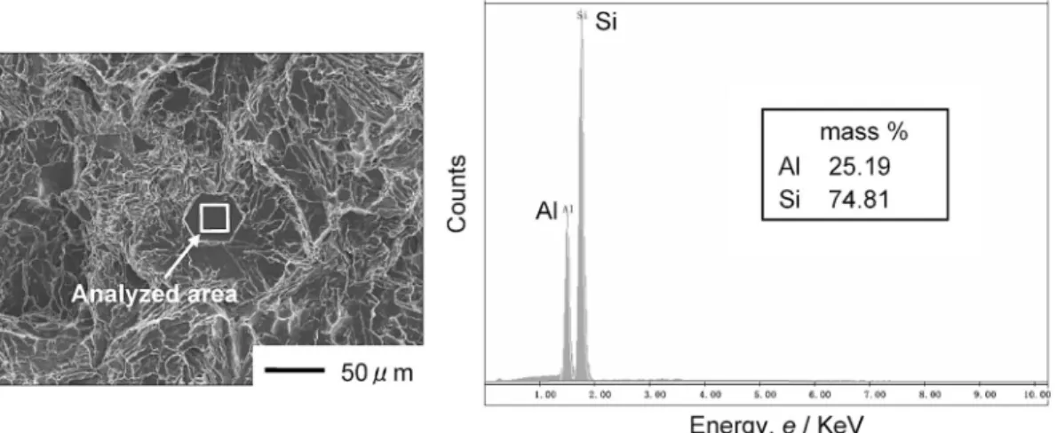 Fig. 8 Results of SEM observation and EDS analysis on hexagonal flatplane in LAlloy.