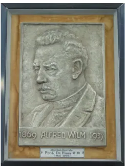 Fig. 2  A. Wilm’s relief given by Dr. Haas, which relief is 