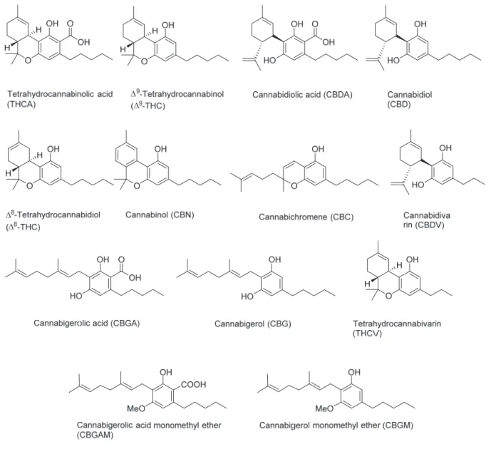 Fig. 1    Chemical structures of cannabinoids 