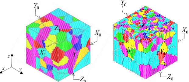Fig. 4.3 3D polycrystalline mesh. (a) is FE mesh of EP1 and EP2. (b) is FE mesh of T1