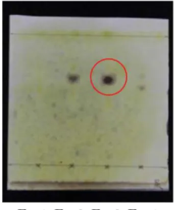 Fig. 5 Mass chromatogram of Fr. 3 and its mass spectrum on LC/HRMS analysis 