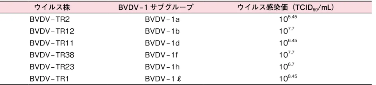 表 2　羊への免疫に使用したウイルス株の不活化前感染価 ウイルス株 BVDV – 1 サブグループ ウイルス感染価（TCID 50 /mL） BVDV – TR2 BVDV – 1a 10 5.45 BVDV – TR12 BVDV – 1b 10 7.7 BVDV – TR11 BVDV – 1d 10 6.45 BVDV – TR38 BVDV – 1f 10 7.7 BVDV – TR23 BVDV – 1h 10 6.7 BVDV – TR1 BVDV – 1ℓ 10 8.45 表 3　BVDV –