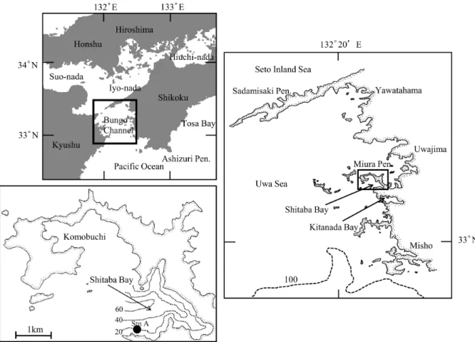 Figure 1. Sampling station (Stn A) in Shitaba Bay, Uwa Sea. Dotted lines with numbers show bathymetrical con- con-tours.