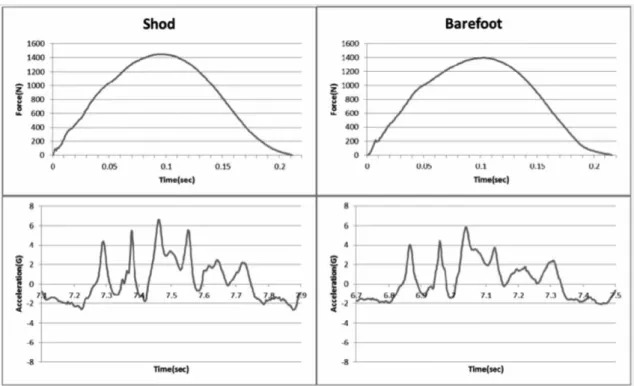 Figure 10. Typical changes of the ground reaction force and acceleration 