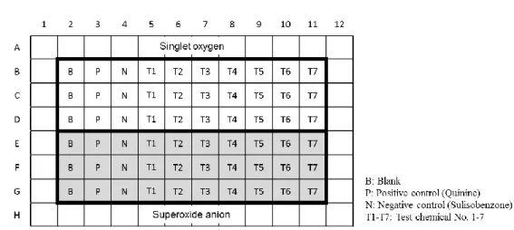 Figure 1. An example of a typical plate configuration 