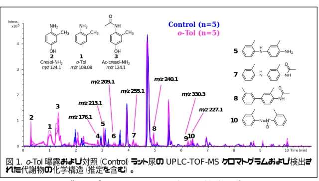 図 1.  o-Tol 曝露および対照（Control）ラット尿の UPLC-TOF-MS クロマトグラムおよび検出さ