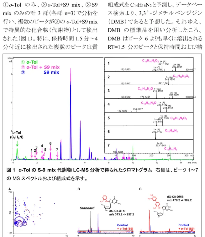 図 2 o-Tol の S-9 mix 代謝物を曝露した calf thymus DNA のアダクトーム解析  （ A ）検出 された修飾ヌクレオシドのピーク面積をバブルの大きさで示したアダクトームマップ。横軸が保 持時間縦軸が質量電荷比（ m/z ）。  （ B ） dG-C8-oTol （ m/z 373.2>257.2 ）の MRM クロマトグラ ム。（ C ） dG-C8-DMB の質量電荷比（ m/z 478.2>362.2 ）に相当する MRM クロマトグラム。02468101214