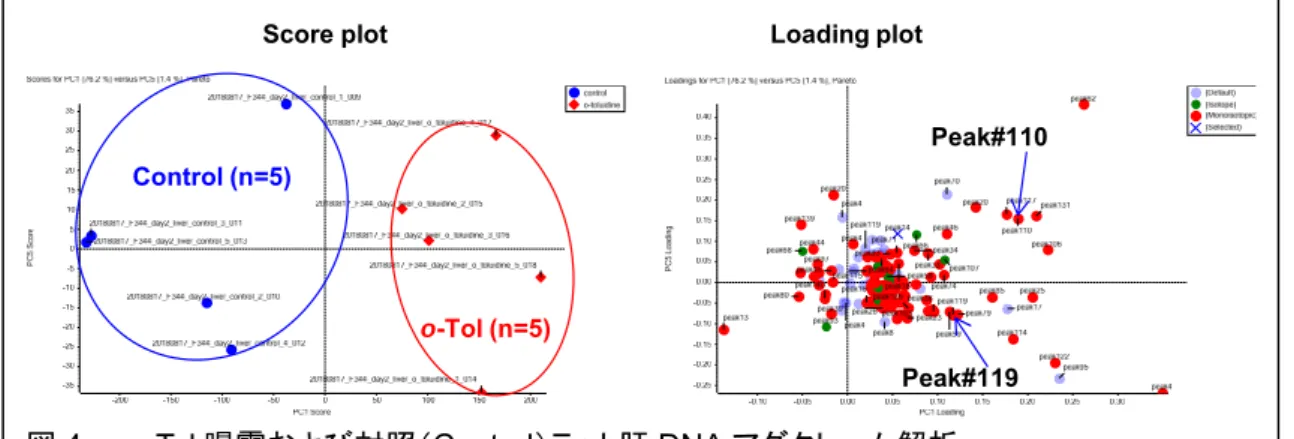 図 4.    o-Tol 曝露および対照（Control）ラット肝 DNA アダクトーム解析 