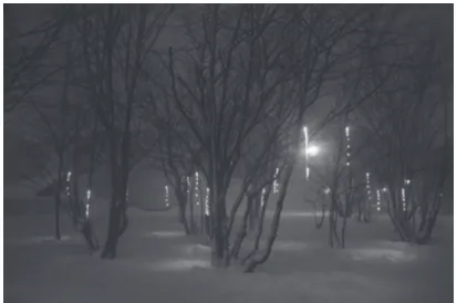 図 11　Icicle Drops 屋外展示風景