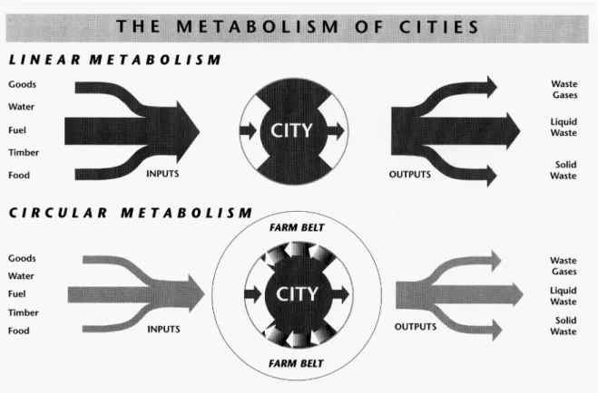 Figure 1   The flow of natural resources into cities and the waste produced represents one of the largest challenges to urban  sustainability