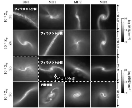 図 2 を 見ると， UNI-Z3 ではガス 雲 の 分裂が 10,000 AU と 100 AU のスケールで 2 回起こって いることがわかる．前者は OH 分子冷却が効く密 度〜 10 7  cm −3 で起きており， OH 分子冷却がガス 雲の分裂を引き起こすことがわかった．ただし， それぞれの分裂片の質量は左から 15M , 8  M で あり， OH 冷却が直ちに低質量星形成をもたらす わけではない．より小スケールでの分裂はダスト 冷却によるもので，フィラメントに沿っていくつ かの原始星が数珠状
