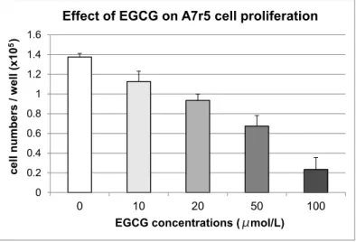 図 2C A7r5 細胞の EGCG 用量依存性細胞増殖抑制効果
