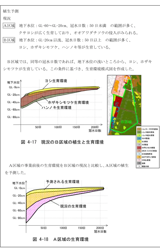 図 4-17  現況のＢ区域の植生と生育環境 植生予測 現況  Ａ区域  地下水位：GL-60～GL-20cm、冠水日数：50 日未満  の範囲が多く、  クサヨシが広く生育しており、オオアワダチソウの侵入がみられる。 Ｂ区域  地下水位：GL-20cm 以浅、冠水日数：50 日以上  の範囲が多く、 ヨシ、ホザキシモツケ、ハンノキ等が生育している。  Ｂ区域では、同等の冠水日数であれば、地下水位の浅いところから、ヨシ、ホザキシモツケが生育している。この条件に基づき、生育環境模式図を作成した。 Ｂ区域  Ａ