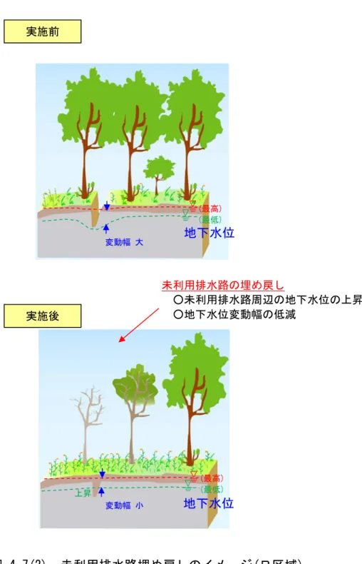 図 4-7(2)  未利用排水路埋め戻しのイメージ(Ｂ区域) 地下水位 地下水位 (最高) (最低) (最高) (最低) 未利用排水路の埋め戻し  ○未利用排水路周辺の地下水位の上昇○地下水位変動幅の低減 実施前 実施後 上昇 変動幅  大 変動幅  小 