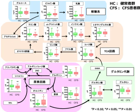 図 2  メタボローム解析により定量化された代謝物質の経路図（一部抜粋）