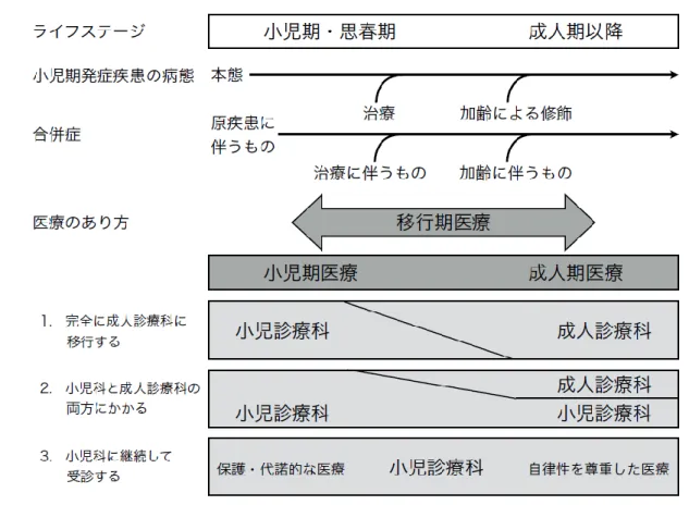 図  移行期医療の概念図 