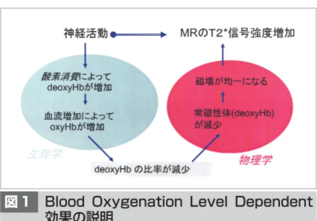 図 1 Blood  Oxygenation  Level  Dependent