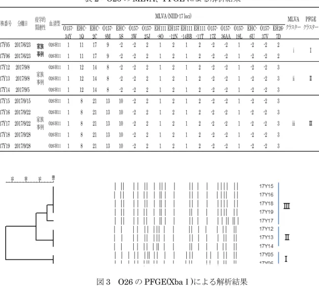 表 2  O26 の MLVA 、 PFGE による解析結果       図 3  O26 の PFGE(Xba Ⅰ ) による解析結果 表 3  MLVA ⅱ型の山口県における発生概要と、全国での発生状況O157-34YEHC-1QEHC-2CO157-9MEHC-5SO157-3WO157-25JEH111-8OEH157-12NEH111-14BBEH111-11TO157-17ZO157-36AAO157-19LEHC-6UO157-37V EH26-7D17Y05 2017/6/23O26:H11