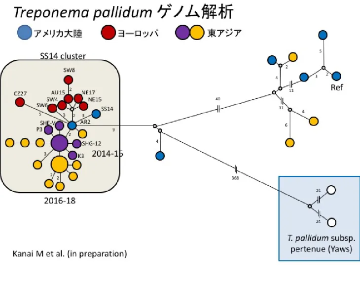図 1 A.  ゲノム情報が得られた国内外(日本 16 株、海外 29 株) Minimum Spanning Tree による遺伝的連関図。