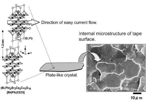 Fig. 1 Crystal structure of Bi2223 superconductor.