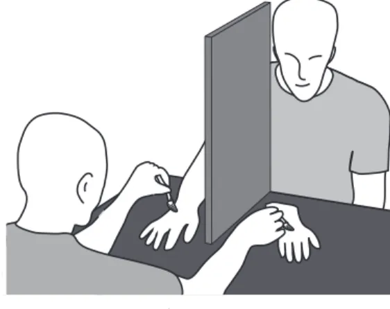 図 1　ゴム製擬手の錯覚