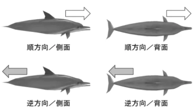 Fig. 2  運動方向と姿勢による刺激条件の違い  2.4  手続き  実験では，1 試行ごとにひとつの刺激条件が選択され， ベクションと不快感の測定が行われた。60 秒の映像提示 の間，参加者は手元のゲームコントローラを使って，そ の時点で知覚している回転ベクションの強度と方向を報 告した。ベクション強度については，主観的な回転感覚 の大きさの印象を 0.0 – 1.0 のアナログ量で評価し，スライ ダレバーの押し込みで報告するように教示した。その値 は 1/60s ごとに計測され，ゲージバーの増減を通