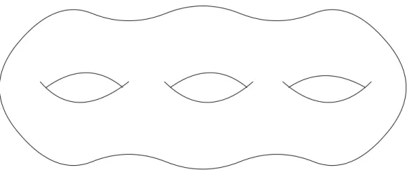 図 2.9: 閉弦の g loop ダイアグラムあるいは genus g のリーマン球面 D-brane の tension はボゾン的弦理論の場合と同様にして計算でき、 τ p 2 = π κ 2 e −2ϕ (4π 2 α ′ ) 3 −p (2.165) となる。弦理論の摂動論をする上での展開パラメーターである弦の結合定数は g s =< e ϕ > として