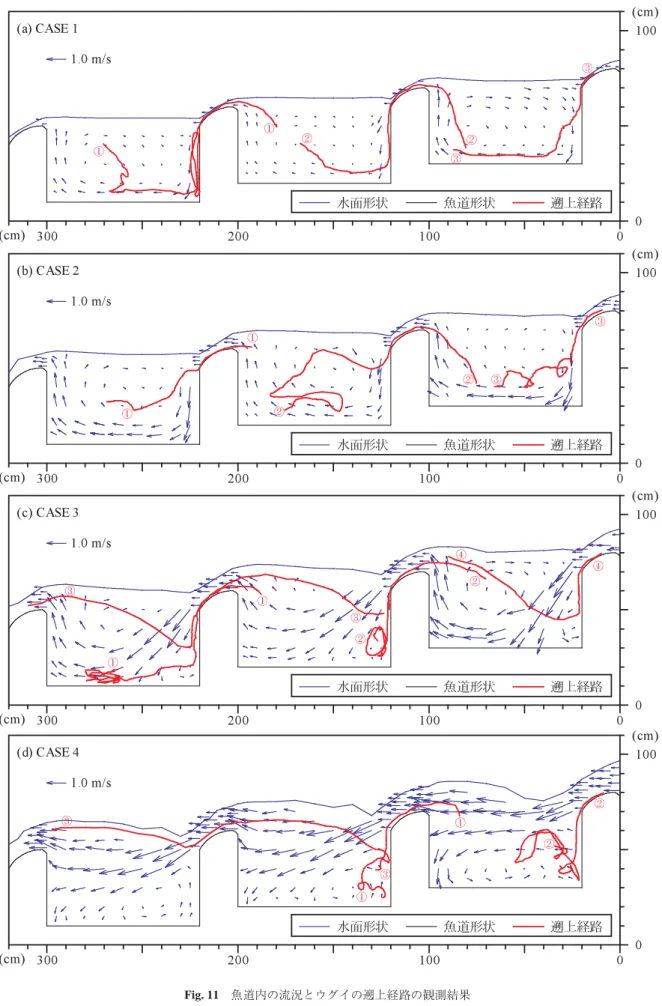 Fig. 11  魚道内の流況とウグイの遡上経路の観測結果