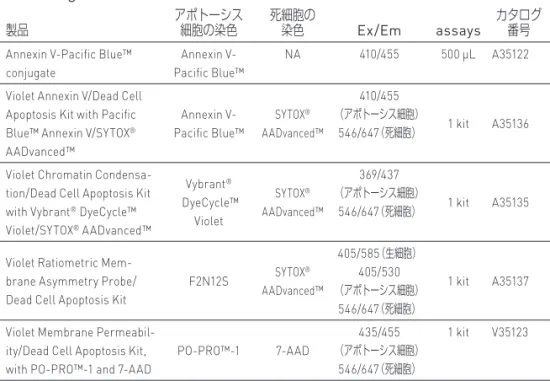 図 16. 10µM カンプトテシンで 6 時間処理し