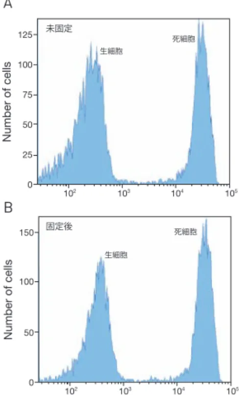 図 10.  固定可能な死細胞標識試薬の使用例