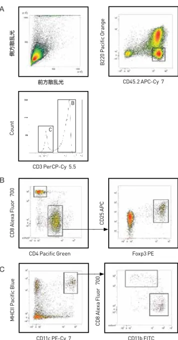 図 14. Attune NxT Acoustic Focusing Cytometer によるマウス調節性 T