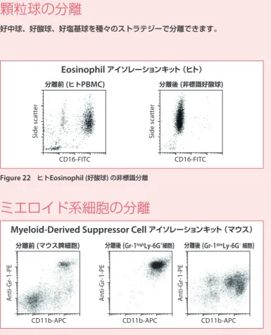 Figure  23  マウス脾臓から Myeloid-Derived Suppressor Cell (MDSC)  の分離 ガン、感染、自己免疫疾患など種々の病的な状態で増加することが知られている MDSC の 2 つのサブセッ トが、 1 キットの 2 ステップ操作で各画分に得られる。Figure 22 ヒトEosinophil (好酸球)  の非標識分離Pan B Cell アイソレーションキット（ヒト）MZ and FO B Cell アイソレーションキット（マウス）Eosinophil  アイソ