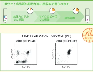 Figure  6    マウス脾細胞から、非標識 CD 4 +  T  細胞の分離