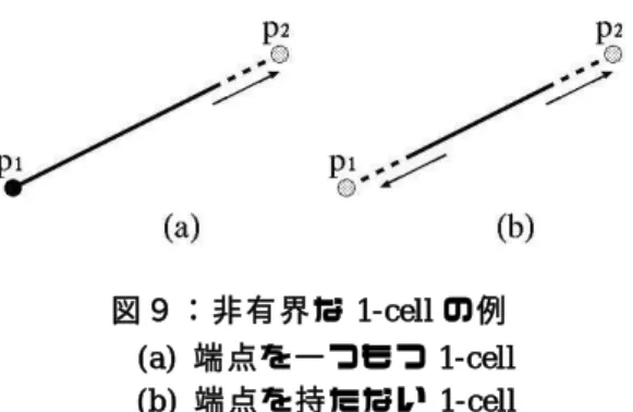 図 ９ ： 非 有 界 な 1-cell の 例 (a )  端 点 を 一 つ も つ 1-cell  (b )  端 点 を 持 た な い 1-cell  い う 方 式 を と っ て お り ， 3 次 元 以 上 の 任 意 の 次 元 で 正 し く 動 く ．  図 8 に 例 を 示 す ． (a)の σ 1 2 ， σ 1 3 に 対 し て 分 割 処 理 を 行 っ た 結 果 が(b)で あ る ．さ ら に σ 2 1 の 分 割 処 理 を 行 っ た 結 果 が (c)で あ