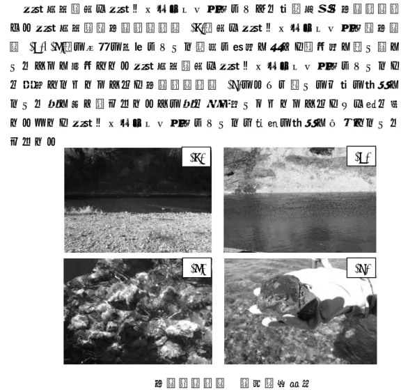 図 ８ ． ３ ． ３   河 川 調 査 結 果（ イ ） 第2 回、第 3 回     ・ 河 川 水 の2-MIB 濃度測定  【 河 床 石 の 付 着 藻 類 を 純 水 で 洗 い 流 し デ ュ ラ ン 瓶 に 採 取 し た も の に つ い て】・ 顕 微 鏡 観 察     ・2-MIB 濃度測定（超音波処理検体） ３   調 査 結 果  （ １ ） 平 成26 年度   ア   調 査 地 点 の 状 況   秩 父 公 園 橋 及 び 秩 父 オ ー ト キ ャ ン プ 場 に 