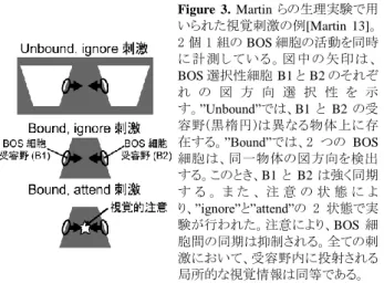 Figure 4. 提案モデル概要。(a) Grouping 細胞仮説に基づく提案皮質ネット