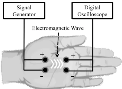 Figure 1. The measuring system of intra-palm propagation signals.