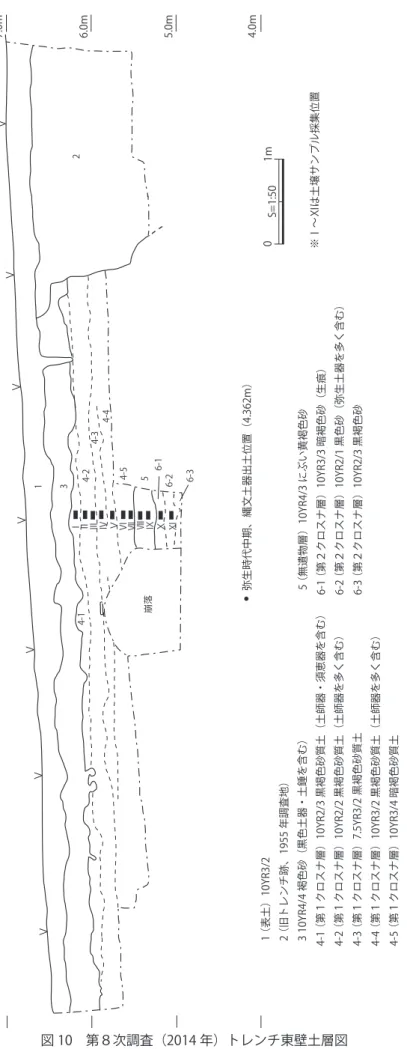 図 10　第８次調査（2014 年）トレンチ東壁土層図