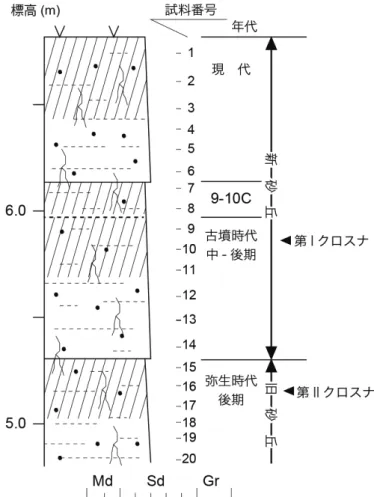 図 40　調査地東壁の堆積層柱状図および試料採取箇所 図 41　北壁断面の標高 5.5m 付近 上位の古土壌 ( 暗色部 ) が第 1 クロスナ層，下位の古土壌は第 2 クロス ナ層に対応．新鮮な露頭断面には水平葉理がはっきりと見える。壌が形成されていたと推測される。　以上，現地で観察した堆積層や考古遺物年代より調査地北側の砂丘は新砂丘 Ib に相当し，これまでの調査成果からはこの下位に新砂丘Ia が埋没していると考えられる（豊島 1975）。粒径組成とその特徴　現地で採取した堆積物試料 20 点について粒