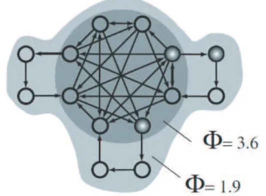 Fig. 1 Integrated information theory とダイナミッ クコア． Tononi(2008) より．図のシステム全 体の integrated information は Φ = 1 .9 であ り，回路中央の部分システムは Φ = 3 .6 であ ることを示す．この場合，中央の部分システム がダイナミックコアに相当する ( ダイナミック コアに関しては 6 節を参照のこと． ) ． 4
