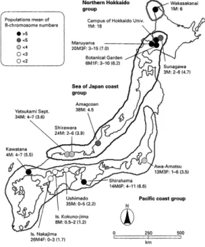 図 5.  鳥取市八束水海岸におけるヒトハリザトウ ムシの B 染色体数（縦軸，箱ヒゲ図）の季節 的変異（ Tsurusaki and Shimada, 2004 より） ．