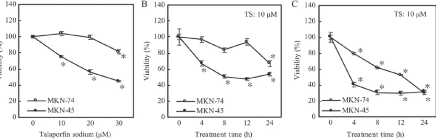Figure 1. Photodynamic therapy evaluation via proliferation assay. Cell viability was measured at 1 day after LED