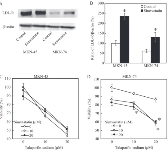Figure 4. Simvastatin effect evaluated by LDL receptor expression and by proliferation assay