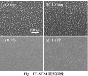 Fig 1 FE-SEM 観察画像 