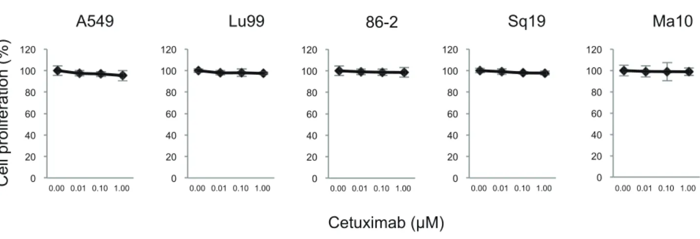 Fig. 3.  Effect of cetuximab on cell proliferation of NSCLC cell lines. NSCLC cell lines were treated with 0, 0.01, 0.1 and 1.0 µM cetux- cetux-imab for 6 days, and cell proliferation of was assessed using 8 cell proliferation assay kit