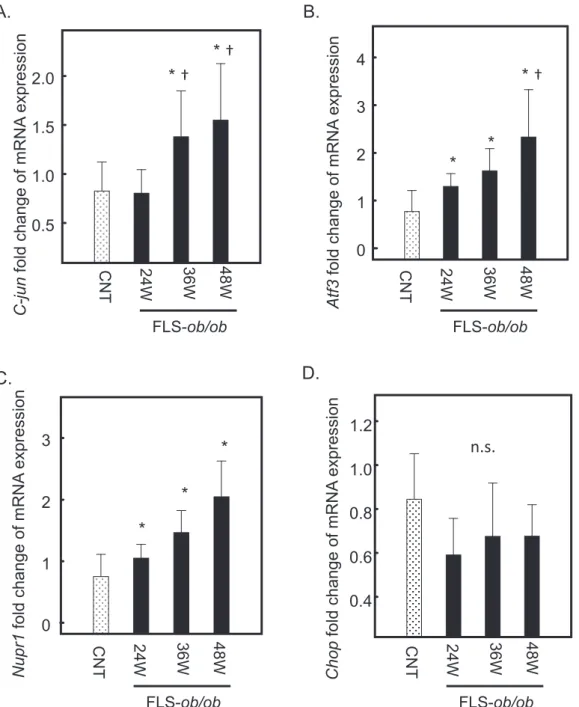 Fig. 3.  Hepatic gene expression levels of  C-jun ,  Atf3 ,  Nupr1 , and  Chop  in FLS mice and FLS- ob/ob  mice