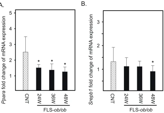 Fig. 5.  Hepatic gene expression levels of  Ppara  and  Srebp1  in FLS mice and FLS- ob/ob  mice