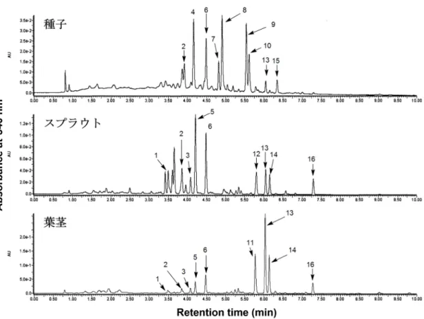 図 3-1 タ デ ア イ 種 子 ， ス プ ラ ウ ト ， 葉 茎 の 80% メ タ ノ ー ル 抽 出 物 の UPLC-ESI-TOF/MS E 分 析 結 果