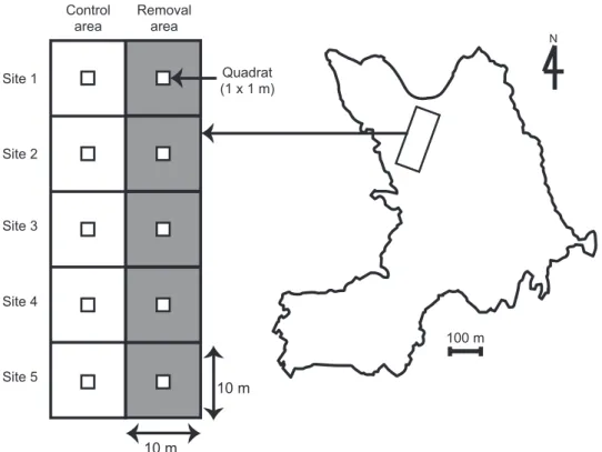 Fig. 1 Distributions of study sites and quadrats on the island. Control area  100 m NQuadrat(1 x 1 m)Site 1Site 2Site 3Site 4Site 510 m10 mRemovalarea 