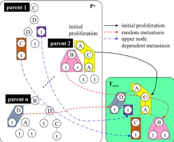 Fig. 1 The initial proliferation in PS operator.